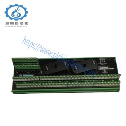 Moore 16169-1-07 SAM Standard Analog Module: Precision Control for Industrial Automation