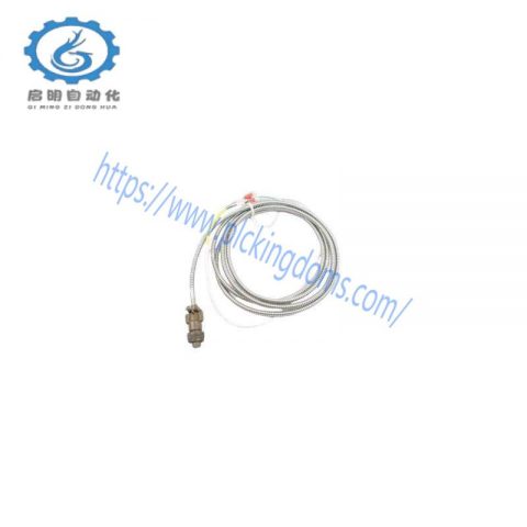 BENTLY 161216-01 Control Module
