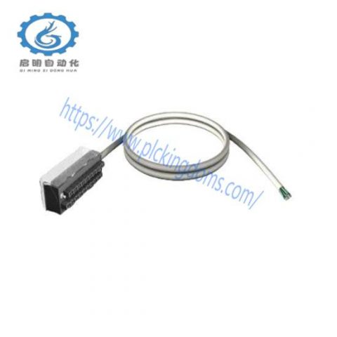 Schneider Electric BMXFTW1001 Discrete I/O Cable, 10M