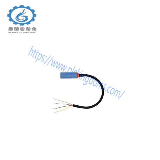 Endress+Hauser CYK10-G101 Digital Measuring Cable, High Precision for Process Control
