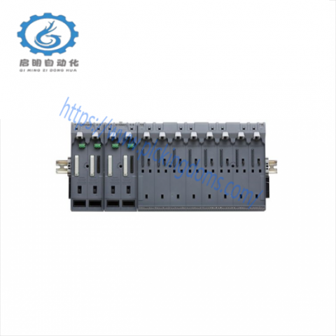 EMERSON SE3051C0 Power/Controller Carrier - High-Performance Control Solution