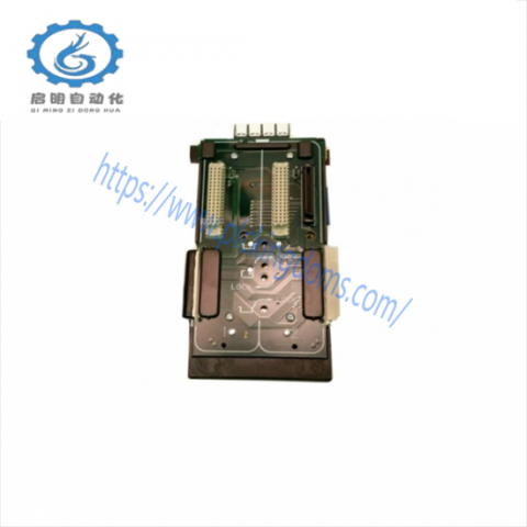 Emerson VE4007 Fieldbus Card