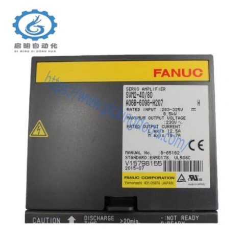 Fanuc A06B-6096-H207 GE Servo Module