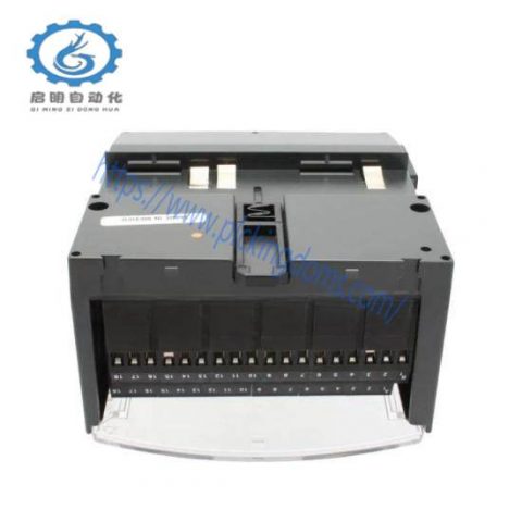 GE-FANUC IC200CHS002: High-Performance Compact PLC Module