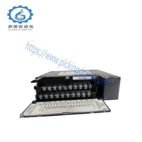 GE Fanuc IC693MOL645 PAC Systems RX3i Modular Output Module