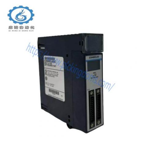 GE FANUC IC694MDL655 Industrial Input Module