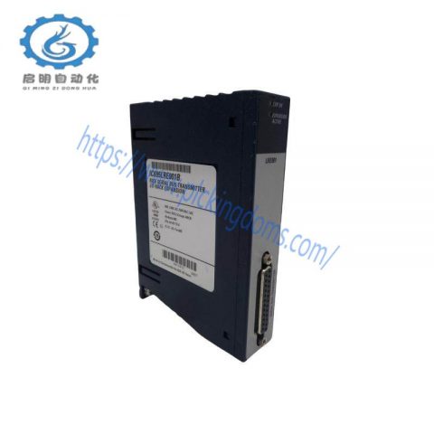 GE FANUC IC695LRE001B Control Module