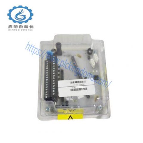 Honeywell Analog Output Modules: DC-TAIX61, DC-TAIX51, DC-TAOX51, DC-TAOX61 - Precision Control Solutions