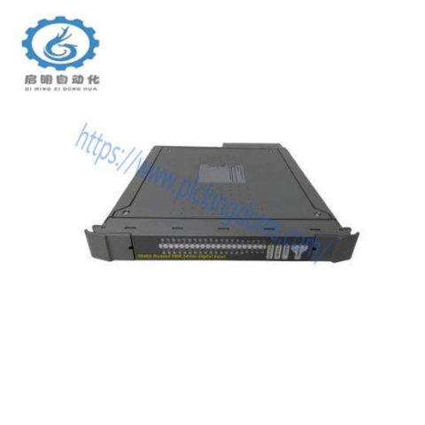 ICS Triplex T8300 Customized Control Module