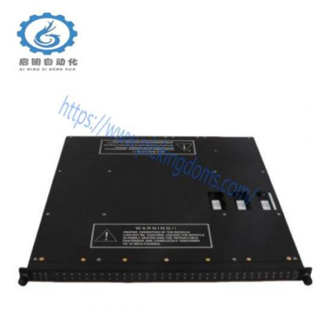 Invensys Triconex 3381 Pulse Input - Advanced Process Control Module