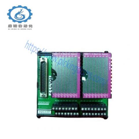 Foxboro P0916BT I/A Series Control Module