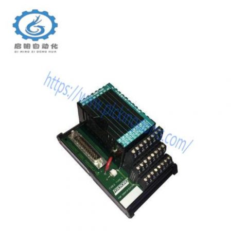Foxboro P0916BX - Advanced I/A Series Control Module