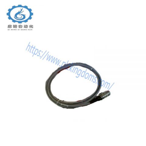Pasan 200035 Industrial Photometric Monitor