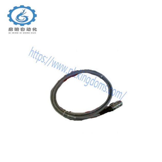 Pasan 200035 Industrial Photometric Monitor