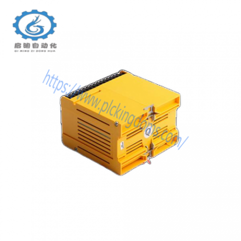 Reliance 812.06.00 Industrial Control Card, Advanced Control Solution