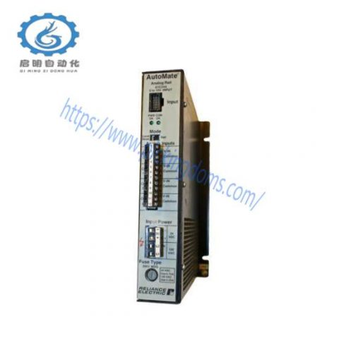 Reliance Electric 61C346 Analog Rail Module, High Precision Automation Control