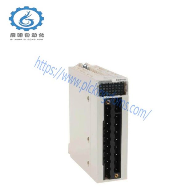 Schneider BMXAMM0600 Mixed Analog I/O Module