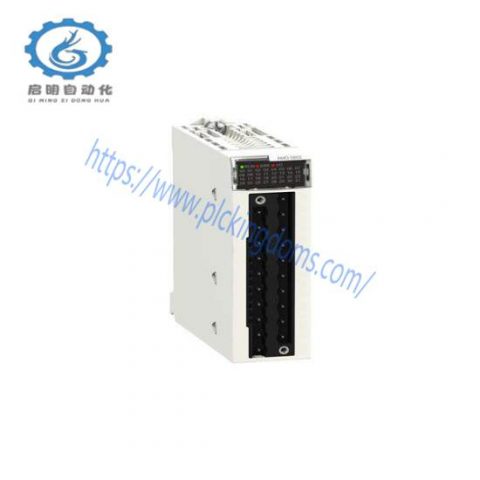 Schneider Modicon X80 Analog Output Module BMXAMO0802, High Precision Control for Industrial Automation
