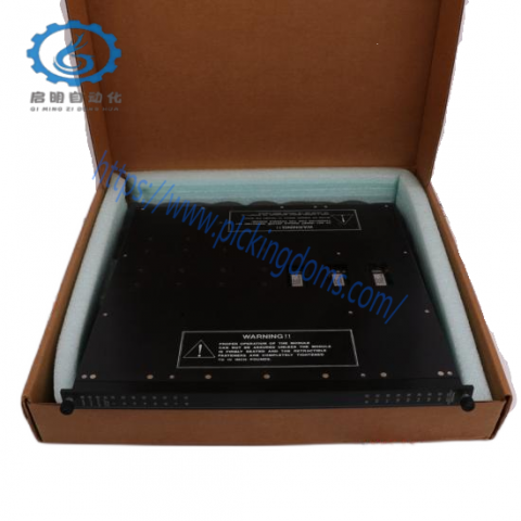 TRICONEX D03401 Digital Output Module - High-Precision Control for Industrial Automation