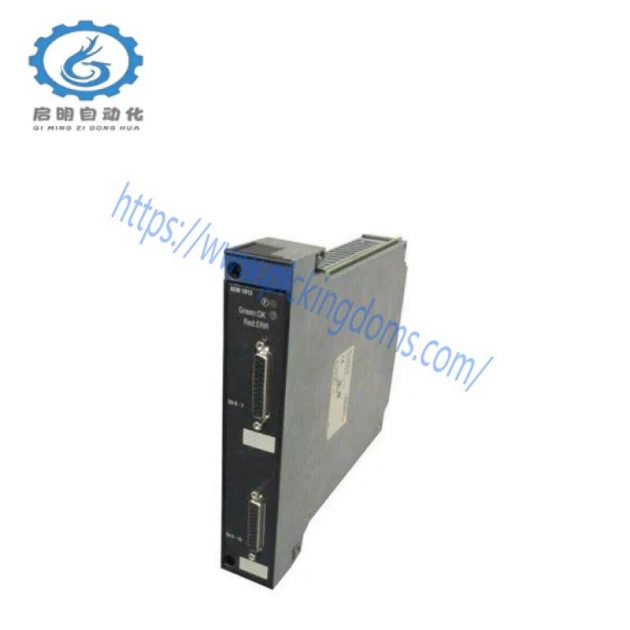 Schneider TSXAEM1613: Advanced Input Module for Industrial Automation