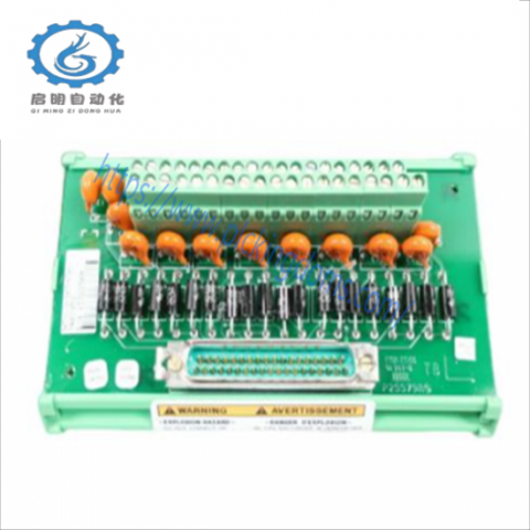 Woodward 5466-318 Micronet Timer Plus Kernel PS Module