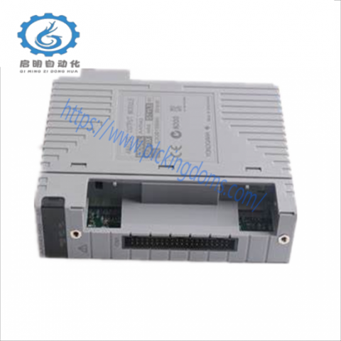 Yokogawa AAI543-H53 S1 Analog Input/Output Module