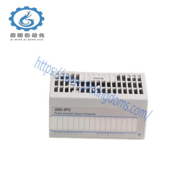 ABB 200-IP2 | 200IP2 Input Module - High-Precision Industrial Control Solution