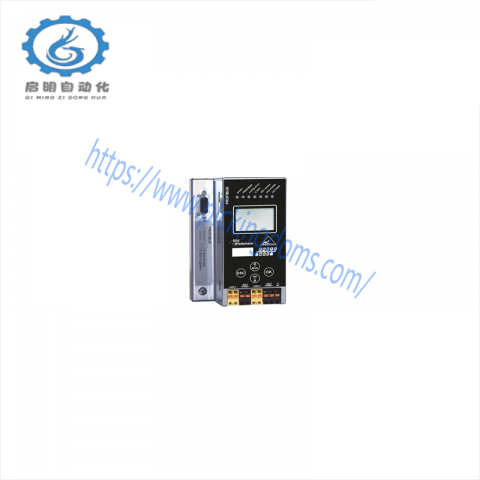 B+W BWU1703 Module: Advanced Industrial Control System Component