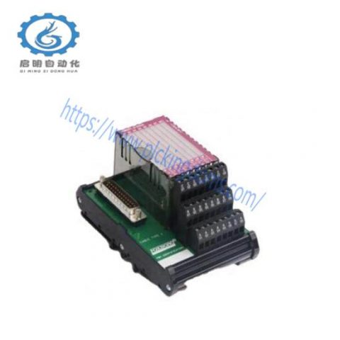 FOXBORO P0961BD-GW30B High-Performance Industrial Control Module