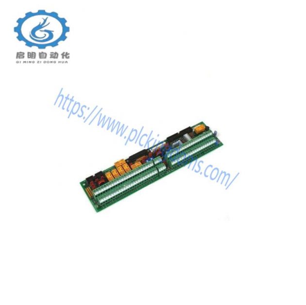 GE DS200FSAAG2ABA - Customizable Hardware Assembly for Industrial Automation