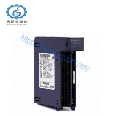 GE-FANUC IC695ALG112 - PAC System