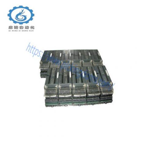GE-FANUC IC200MDL741+IC200CHS022 MODULE