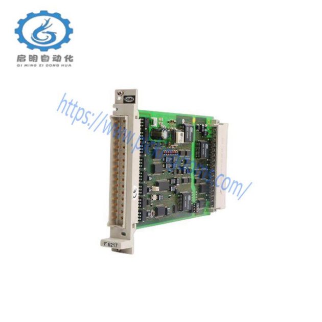 HIMA F6217 984621702 Control Module