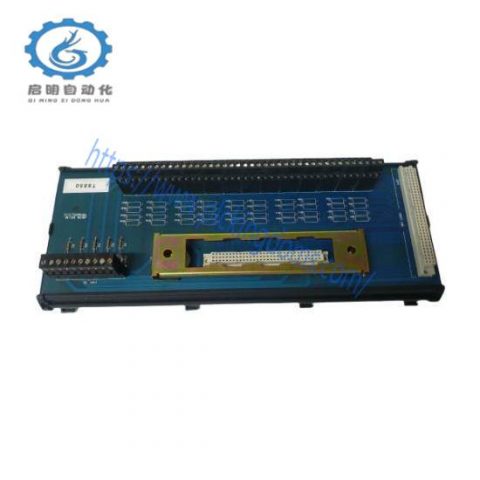 ICS T8850 PLC Digital Output Module