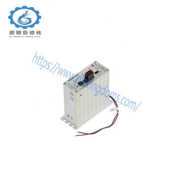 LUDLUM 2401-P Radiation Monitor with Data Logging Capability