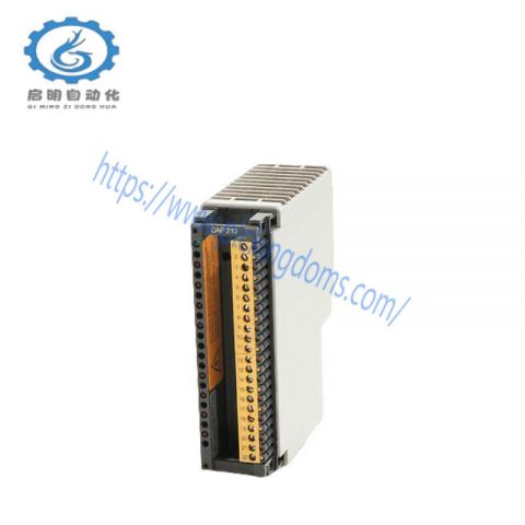 Schneider DAP210/AS-BDAP-210: High-Performance Discrete Output Module