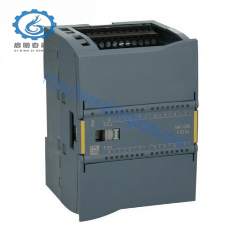 Reliance Electric GV3000E-AC003, RFI Filtered Drive Module