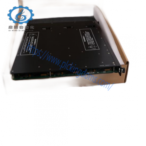 Triconex 8110 Invensys; Producer: TRICONEX
