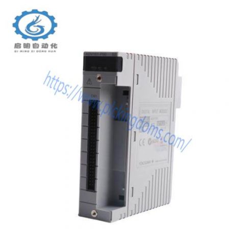 Yokogawa ADV15 110 PLC, Advanced Control Solutions