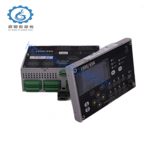Bently Nevada 1900/65A-01-02-01-00-00: Advanced General Purpose Equipment Monitor