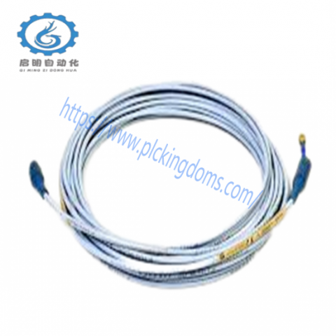 Bently Nevada 22811-01-06-10-02, Industrial Automation Solutions