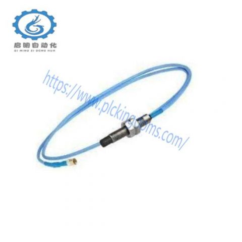 Bently Nevada 330906-02-12-10-02-CN: Quick Delivery, High Precision Control Module