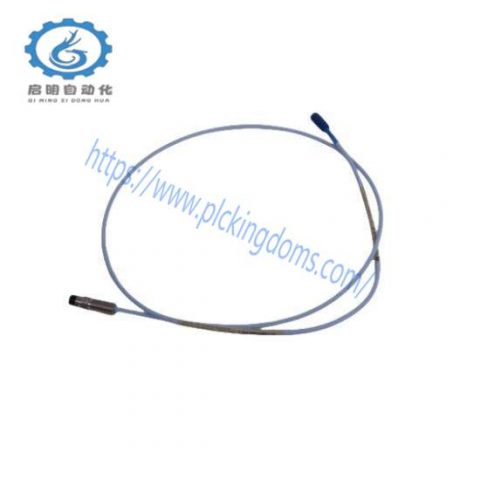 Bently Nevada Probe E2107/30/00/1/10 Extension Cable - Advanced Industrial Control Solution