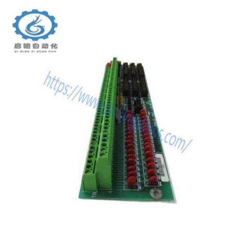 General Electric DS200TBQCG1AAA Analog Input Milliamp I/O Termination Module