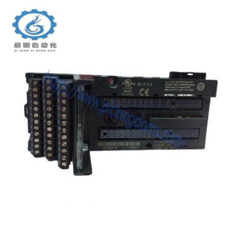 GE-FANUC IC200CHS022 Controllers