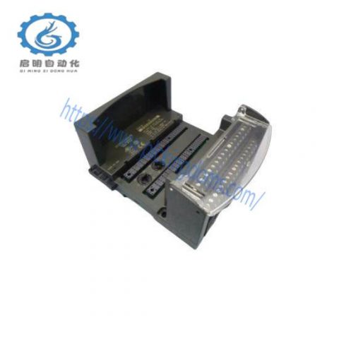 General Electric IC200CHS0022 - Advanced I/O Carrier Module