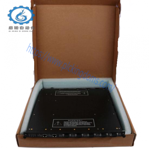Invensys Triconex 9761-210 Panel Field Termination