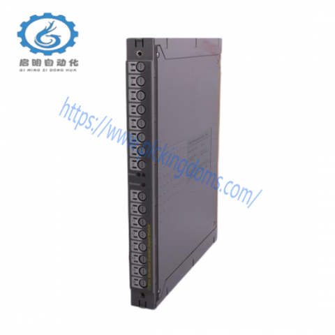 Pepperl+Fuchs KFD2-CRG2-EX1D: Advanced Transmitter Power Supply for Industrial Control