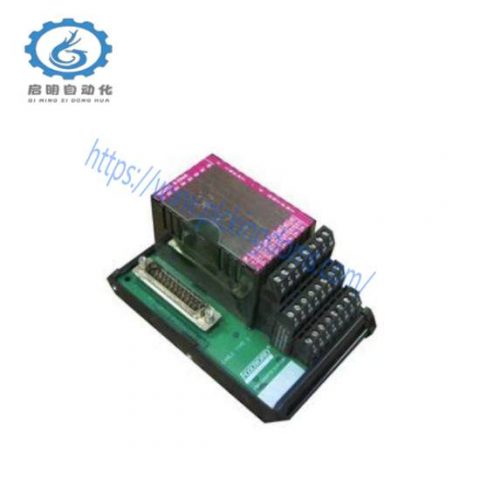Foxboro P0916AE I/A Series Control Module