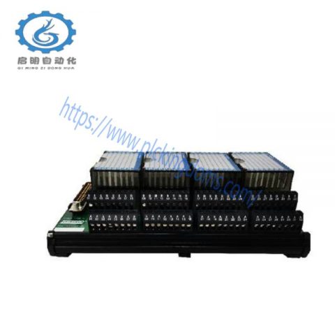 Foxboro P0916PW0C Industrial Control Module Assembly
